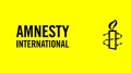 Amnesty International:  LAND CONFISCATION AND POPULATION TRANSFER  