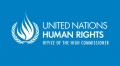 UN human rights office condemns execution of Iranian juvenile