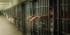 The arbitrary arrest of hundreds of Al-ahwazi Arabs in April 2013