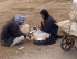 الحقوق الإنسانية للشعوب الأصلية