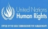 Spokesperson for the UN High Commissioner for Human Rights: Ravina Shamdasani 