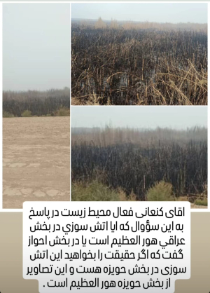 Residents of Hawizeh and Khafajiyeh Suffer from Breathing Difficulties Due to Fires in the Hawizeh Wetland
